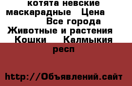 котята невские маскарадные › Цена ­ 18 000 - Все города Животные и растения » Кошки   . Калмыкия респ.